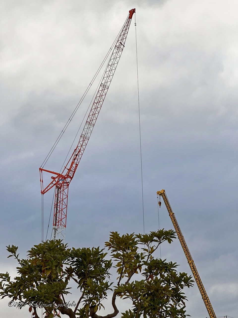 ますます本物に見えました。 iphone 14 pro