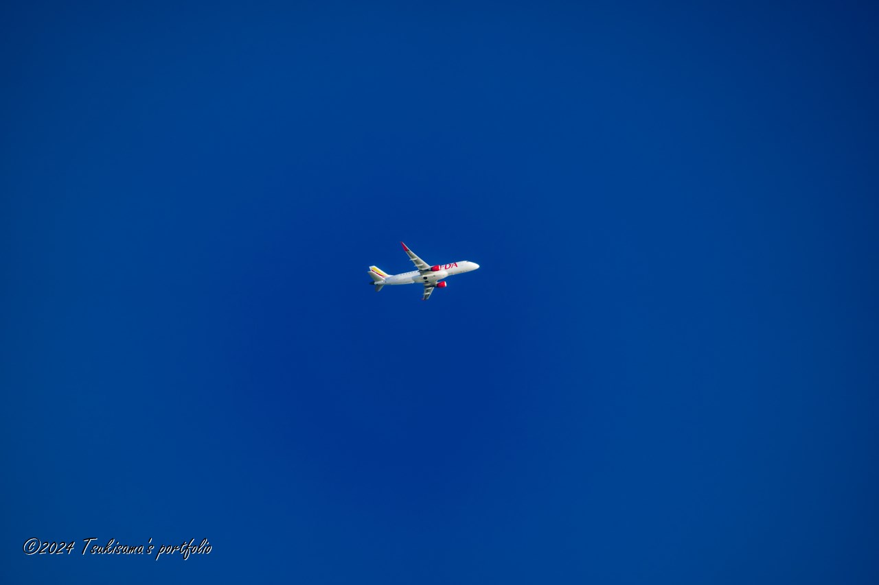 SONY α99II + SONY 70-300mm F4.5-5.6 G SSM II 真っ青な空に真っ白なFDA