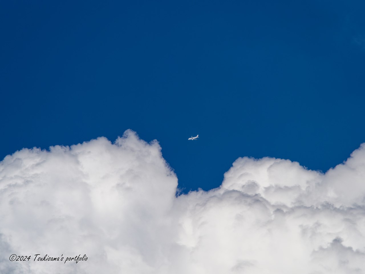 OLYMPUS OM-D E-M1 MarkIII + M.ZUIKO DIGITAL ED 40-150mm F2.8 PRO + MC-14 飛行機、雲