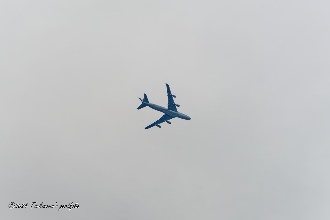 SONY α99II + SONY 70-400mm F4-5.6 G SSM II