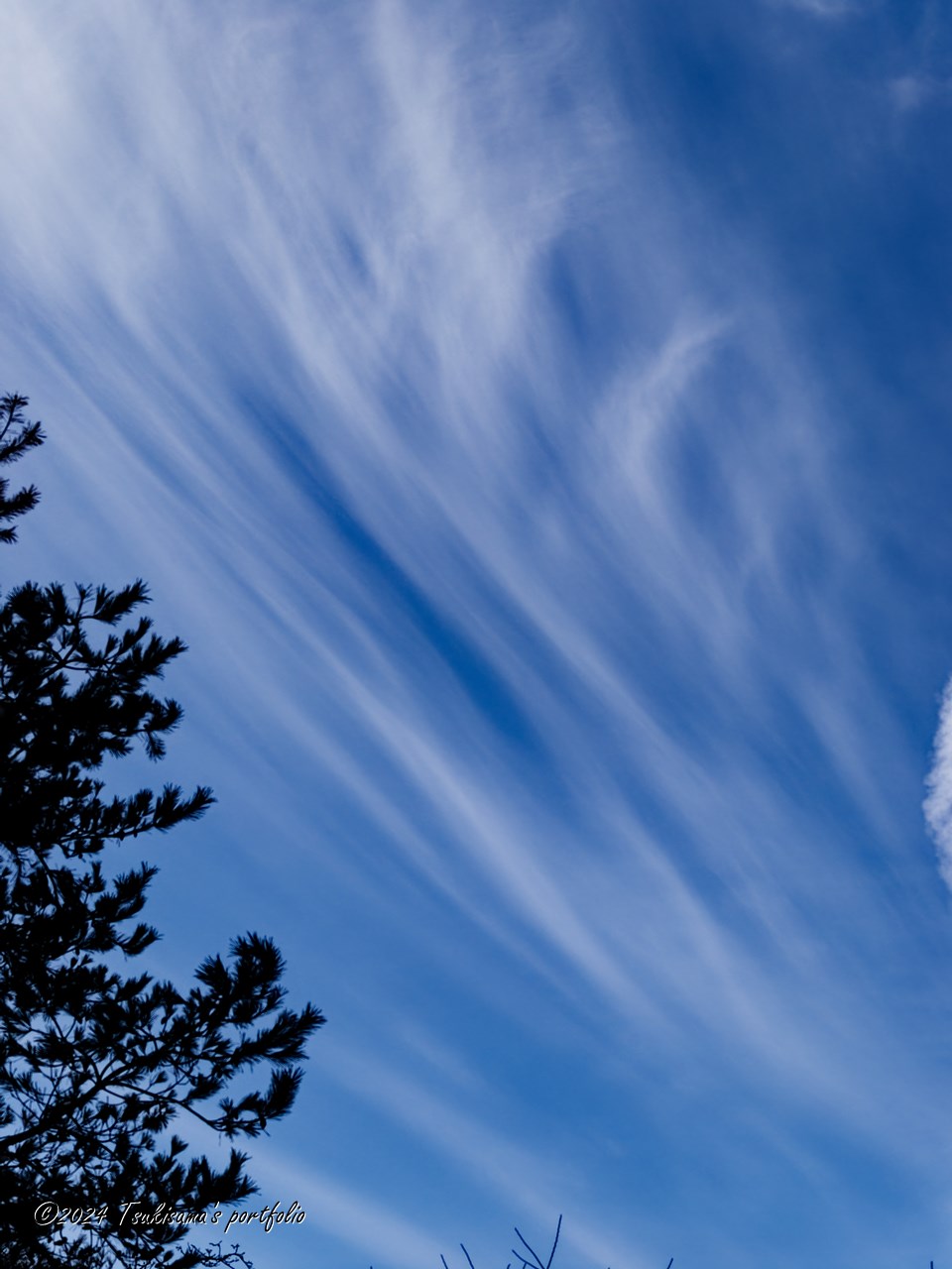 OLYMPUS E-5 + ZUIKO DIGITAL ED 50mm F2 macro 流れる雲