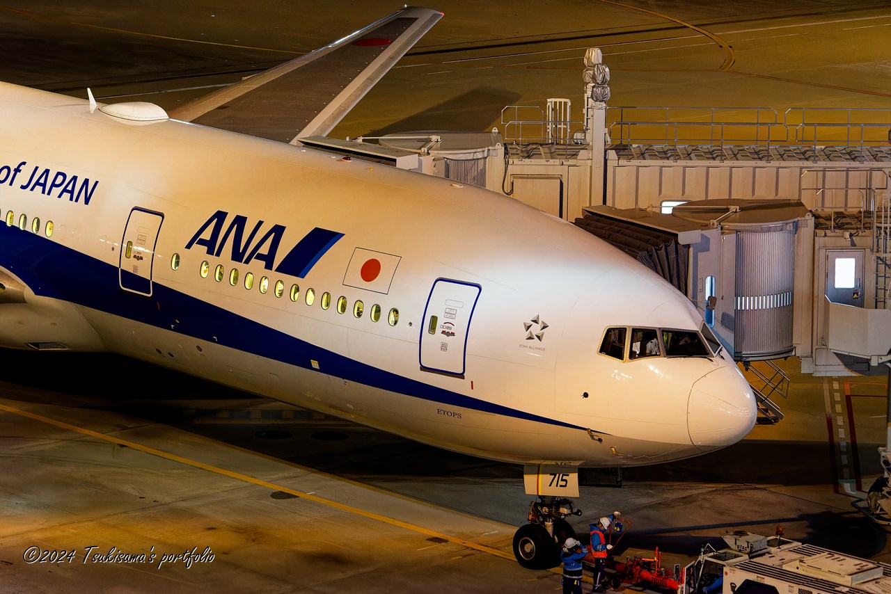 SONY α7SII + FE 70-300mm F4.5-5.6 G OSS