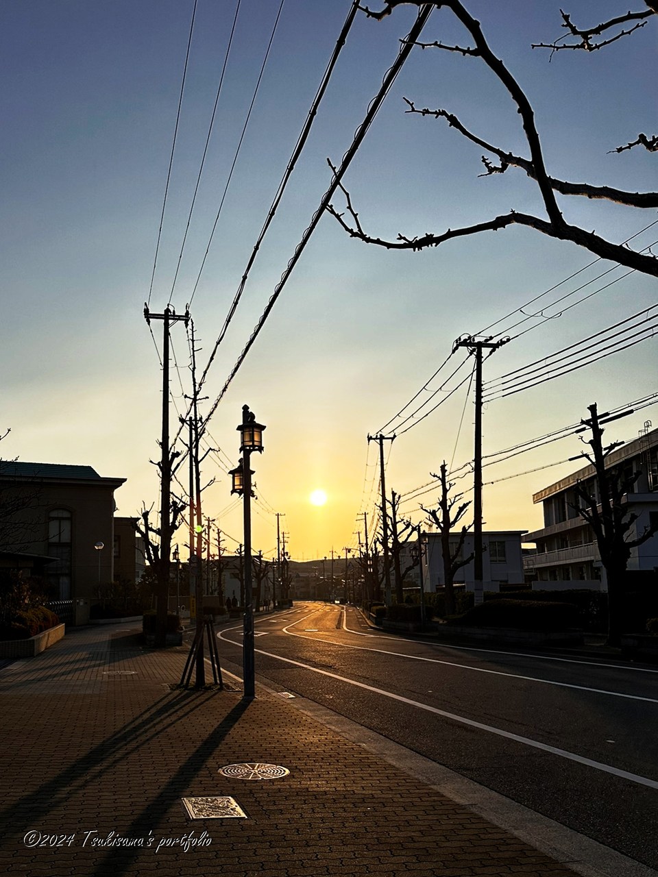 いつもこうだったらいいんですけどね。 iphone 14 pro