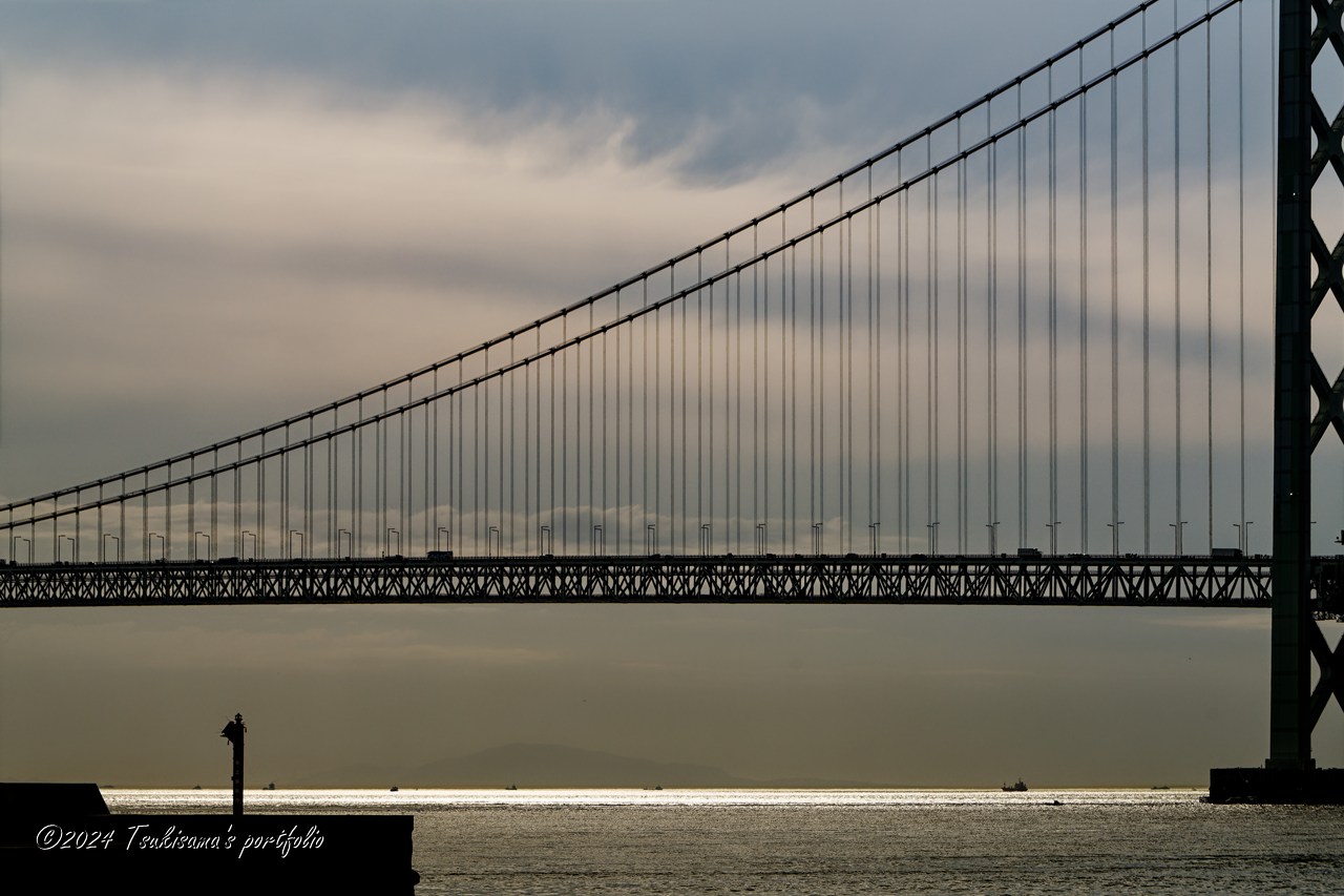 晴れてなくてもいいことはあります。 SONY α99II + SONY 70-400mm F4-5.6 G SSM II