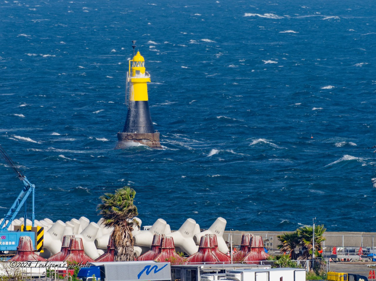 カゼにも負けず、って感じでした。 OLYMPUS OM-D E-M1 MarkIII + M.ZUIKO DIGITAL ED 300mm F4.0 IS PRO + MC-20