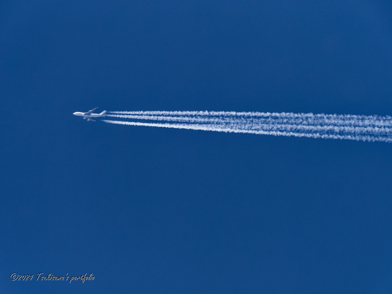 天気が良いときに久しぶりに見ることができました。 連休最終日はまた雨です。 OLYMPUS OM-D E-M1 MarkIII + M.ZUIKO DIGITAL ED 300mm F4.0 IS PRO + MC-20