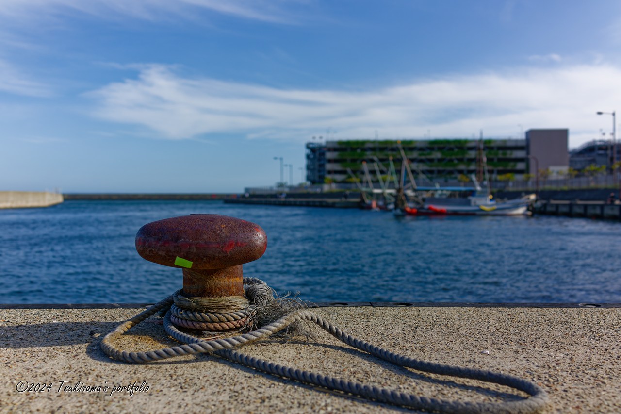 写真見てエア散歩。それほど遠くないので見に行けばいいのに、という説もありますけど。。。 SONY Cyber-Shot RX1RII