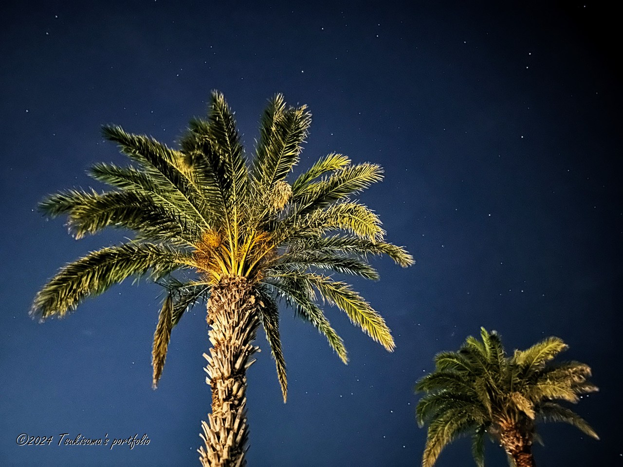 ココだけ切り取って見ると、「ここってどこ?」つて感じになります。 iphone 14 pro