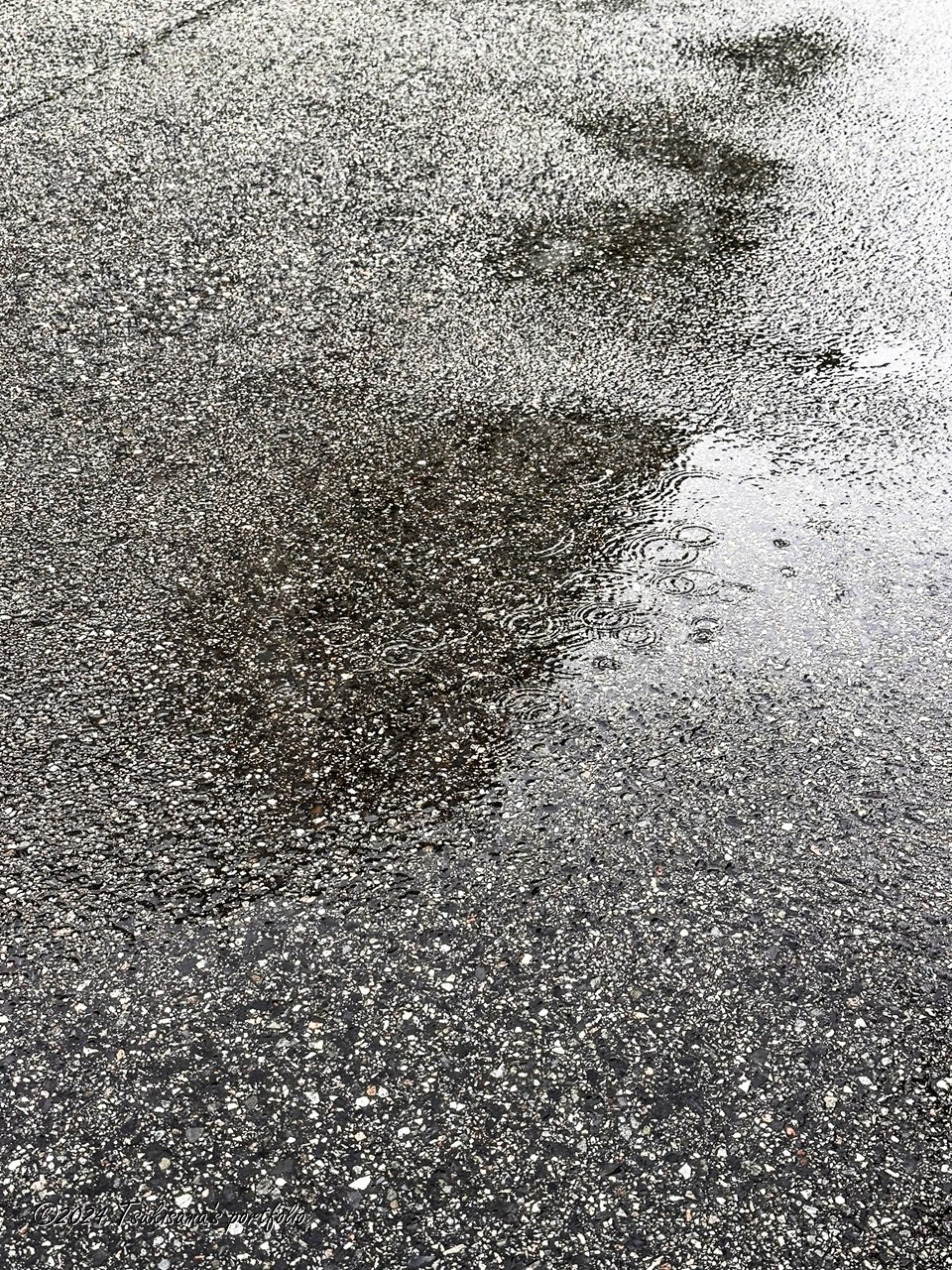 雨(が降っている状況)の写真を撮るのはなかなか難しいと思いました。 iphone 14 pro