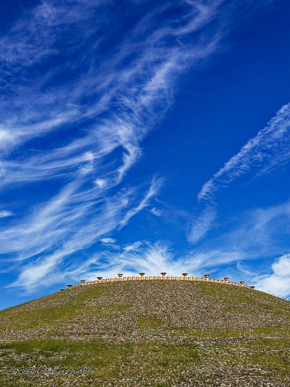 暑い最中に検診に向かうのが、去年からはじまったルーチン。。 iphone 14 pro