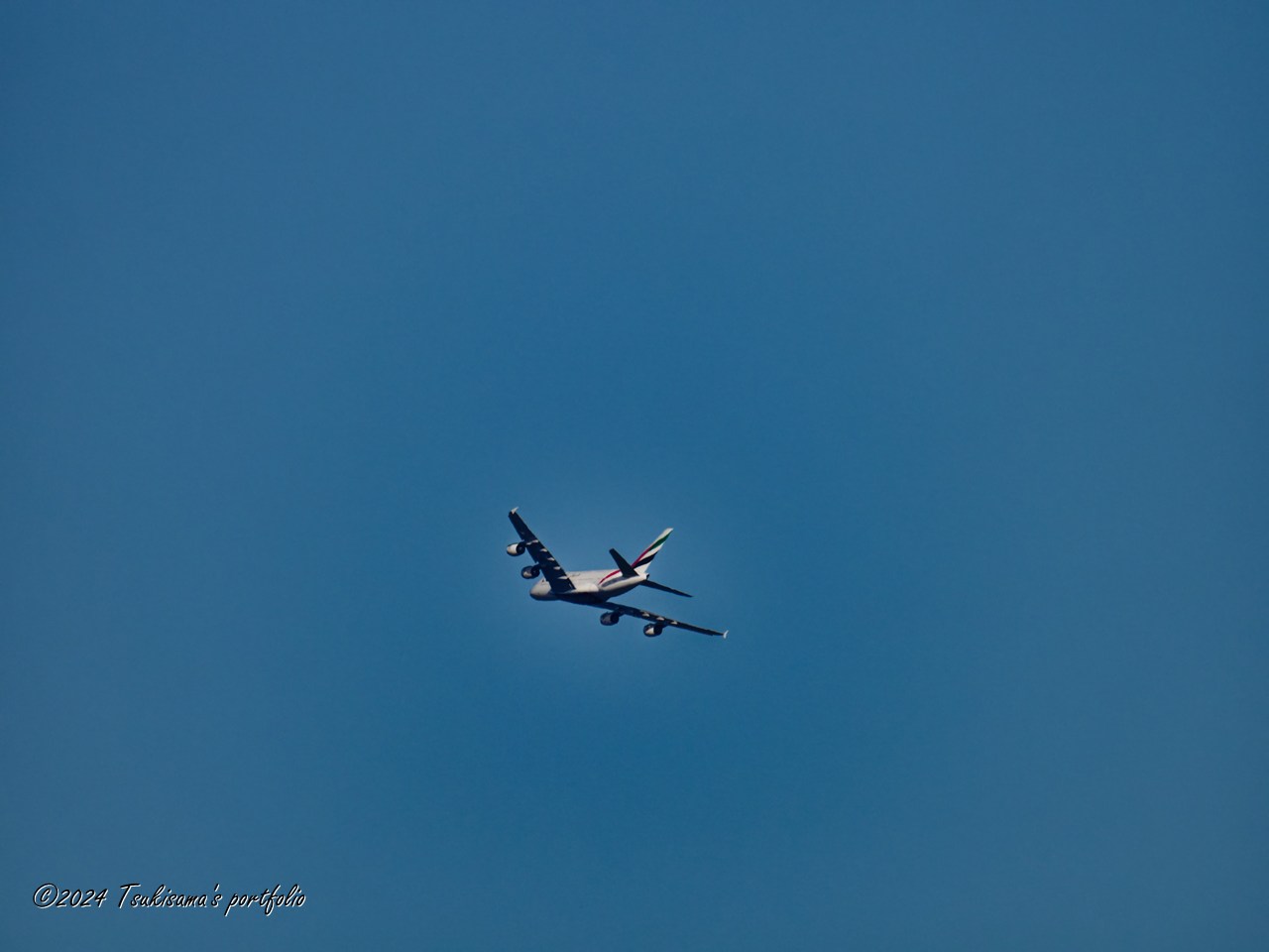 超望遠は楽しいけどやっぱり大変でした。 OLYMPUS OM-D E-M1 MarkIII + M.ZUIKO DIGITAL ED 150-600mm F5.0-6.3 IS