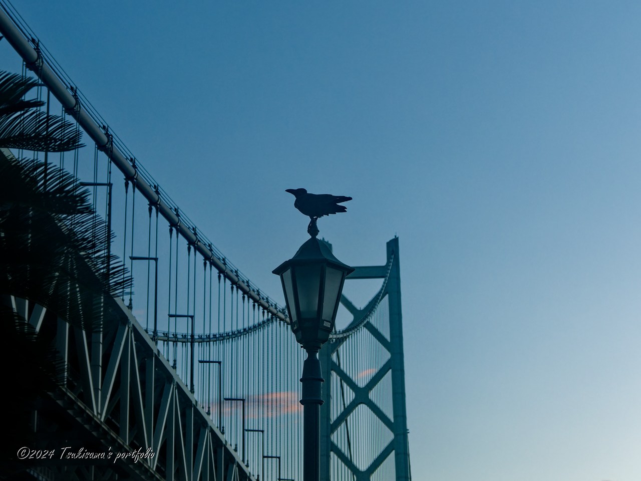 風見鶏?のオブジェかと思いました。OLYMPUS OM-D E-M1 MarkIII + M.ZUIKO DIGITAL ED 12-100mm F4.0 IS PRO