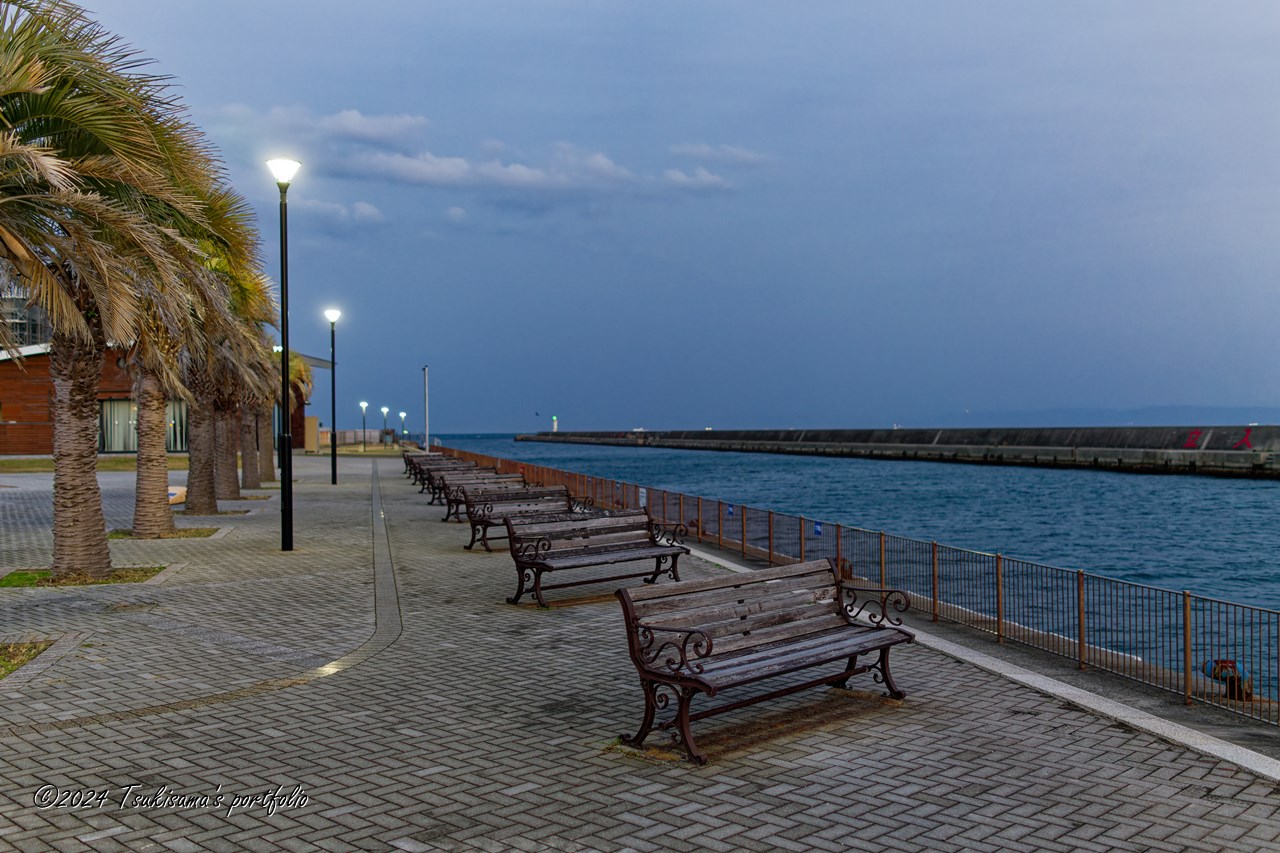 SONY Cyber-Shot RX1RII(DSC-RX1RM2) マリンピア神戸 魚の学校横