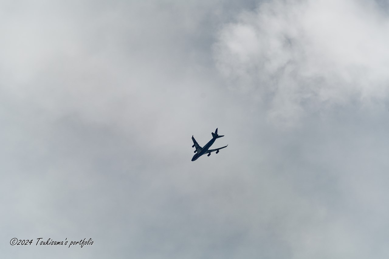 SONY α99II + SONY 70-300mm F4.5-5.6 G SSM II