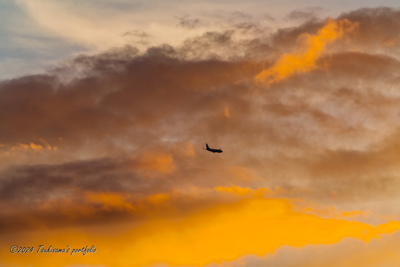 SONY α99II + SONY 70-300mm F4.5-5.6 G SSM II 夕景と旅客機