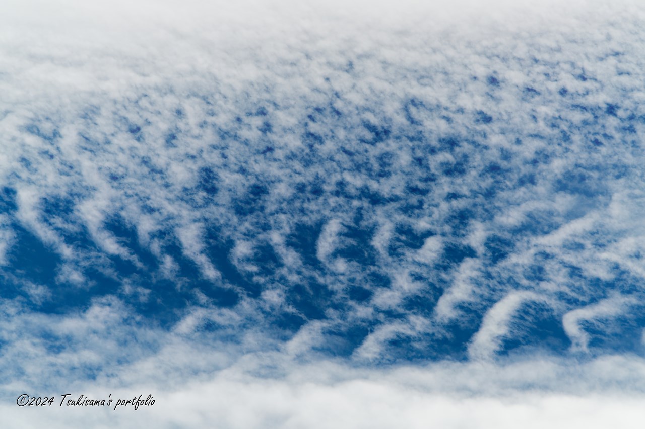 SONY α99II + SONY 70-400mm F4-5.6 G SSM II うろこ雲