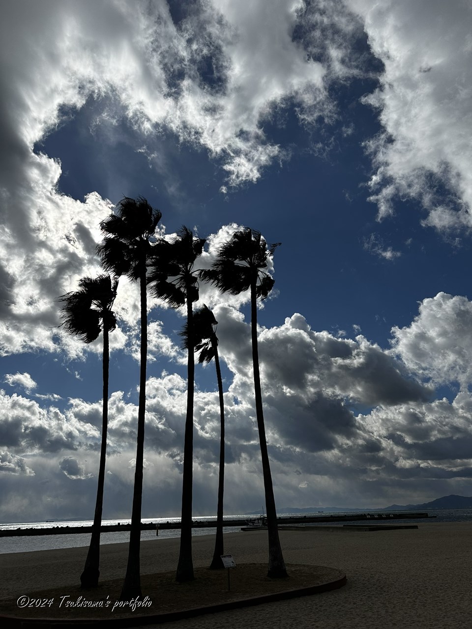 iphone 14 pro 須磨海岸の願いの椰子の木