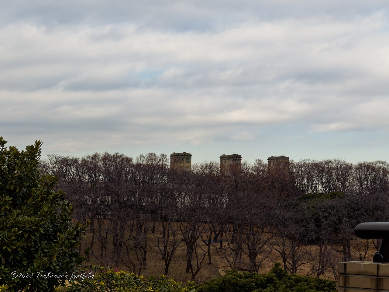 OLYMPUS OM-D E-M1 + LUMIX G X VARIO PZ 14-42mm F3.5-5.6 ASPH 根岸競馬場跡
