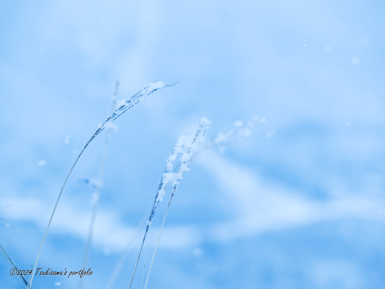 OLYMPUS E-5 + ZUIKO DIGITAL ED 50-200mm F2.8-3.5 立雲峡