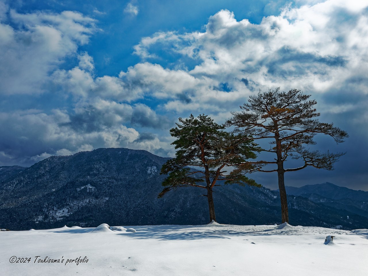 積雪した天空の城 竹田城跡の二本松 OLYMPUS E-3 + ZUIKO DIGITAL 14-54mm F2.8-3.5