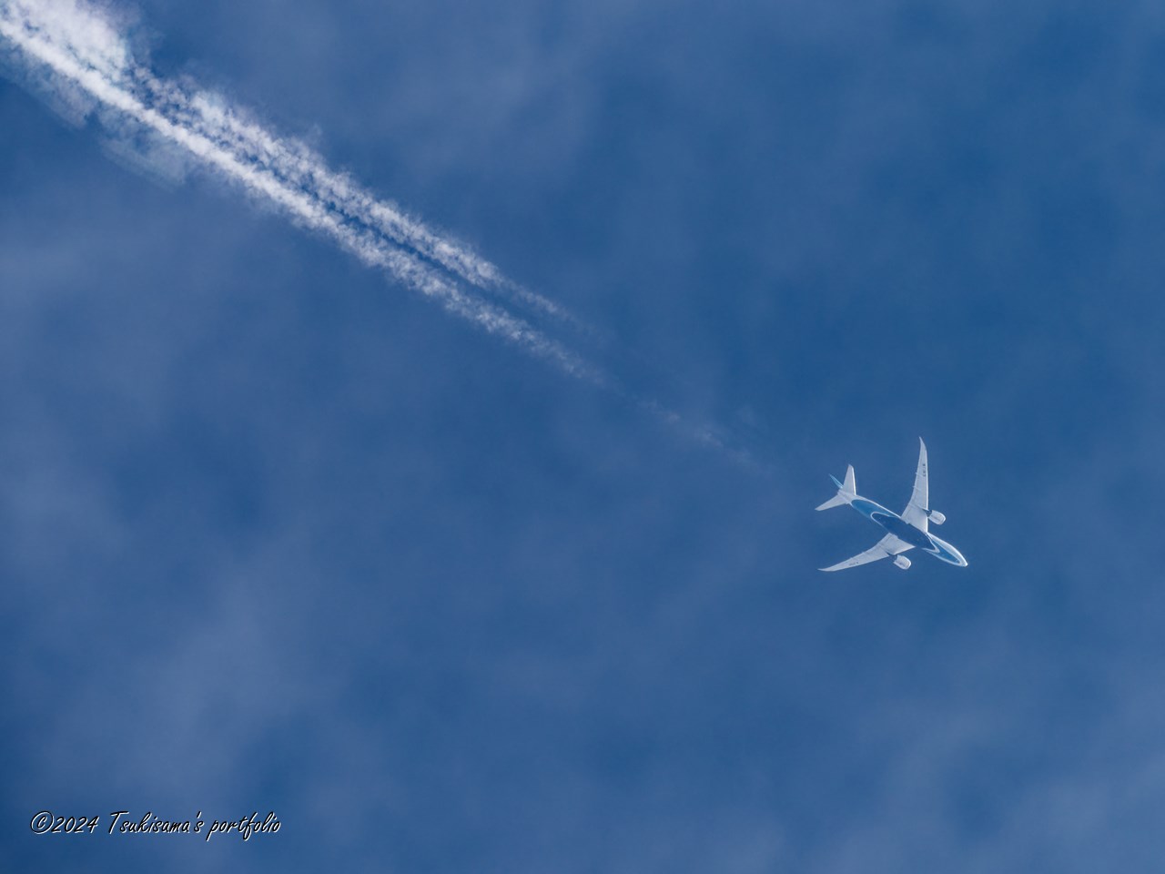 OLYMPUS OM-D E-M1 MarkIII + M.ZUIKO DIGITAL ED 300mm F4.0 IS PRO + MC-20