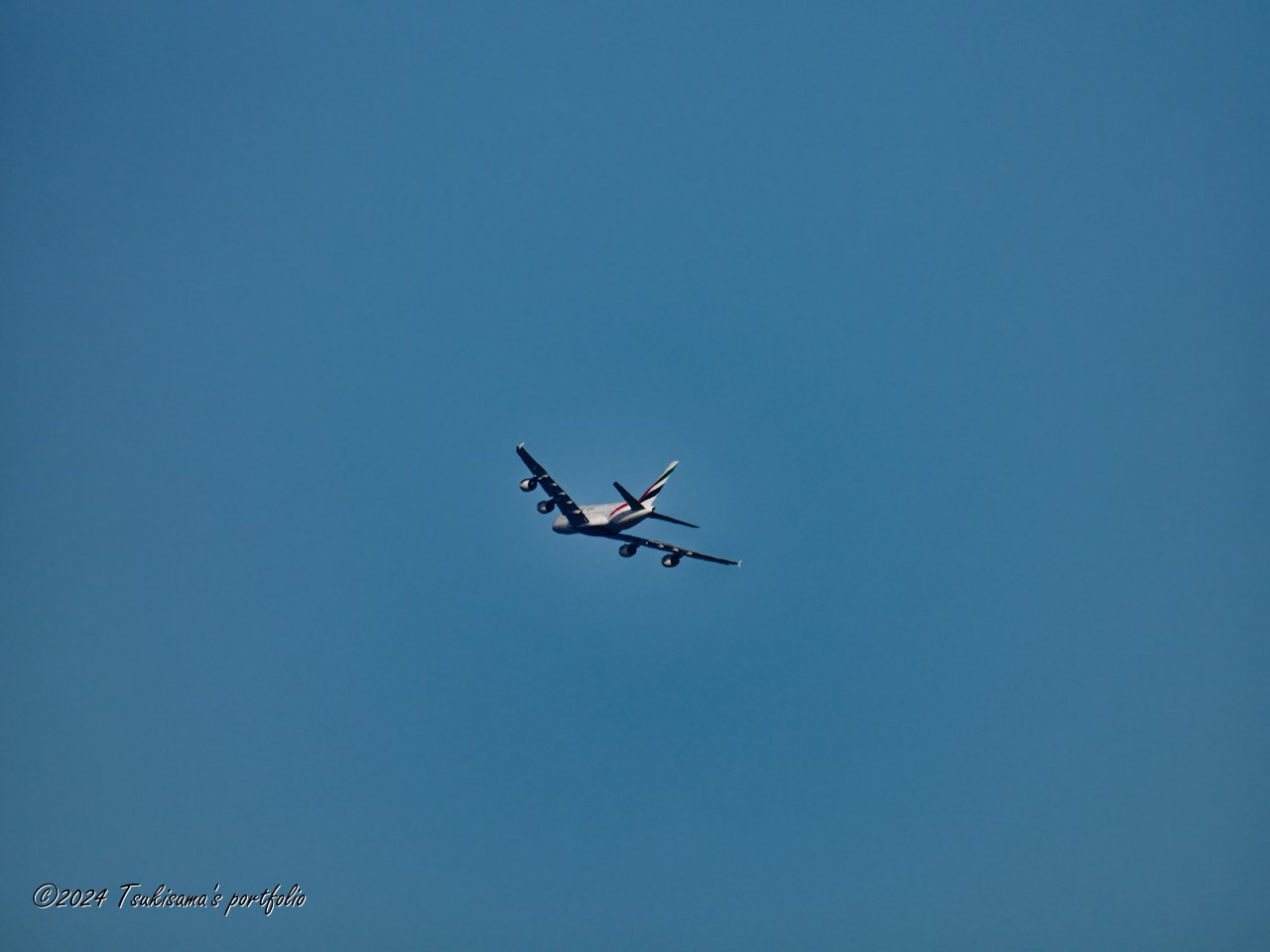 OLYMPUS OM-D E-M1 MarkIII + M.ZUIKO DIGITAL ED 150-600mm F5.0-6.3 IS A380