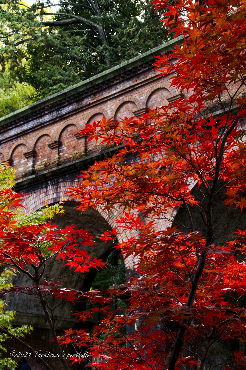 KONICA MINOLTA α7 DIGITAL + KONICA MINOLTA AF DT 18-200mm F3.5-6.3(D) 南禅寺 水路閣の紅葉